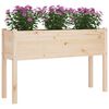 vidaXL Garden Planter 110x31x70 cm Solid Pinewood