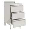 vidaXL Commercial Kitchen Cabinets 2 pcs Stainless Steel
