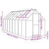 vidaXL Greenhouse with Base Frame Silver 445x169x195 cm Aluminium