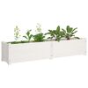 vidaXL Garden Raised Beds 2 pcs White 150x31x31 cm Solid Pinewood
