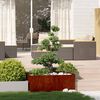 Product Thumbnail Image 2 of 11