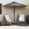vidaXL Garden Parasol Anthracite 294 x 150 x 224 cm