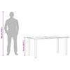 vidaXL Garden Dining Table Black 160x80x74cm Steel and Tempered Glass