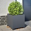 Product Thumbnail Image 2 of 10