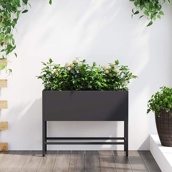 Showing Product Image 2 of 12