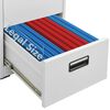 vidaXL Filing Cabinet Light Grey 46x62x102.5 cm Steel