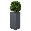 Product Thumbnail Image 8 of 11