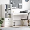 vidaXL Desk with Drawer 2 pcs White