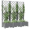Product Thumbnail Image 7 of 8