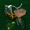 Product Thumbnail Image 2 of 12