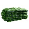 vidaXL Balcony Screen with Green Leaves 300x75 cm