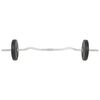 vidaXL Barbell and Dumbbell Set 30 kg