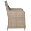 vidaXL Outdoor Chairs with Cushions 2 pcs Poly Rattan Brown