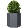 Product Thumbnail Image 5 of 13