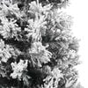 Product Thumbnail Image 5 of 7