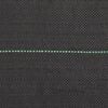 vidaXL Weed Membrane Black 2x100 m PP