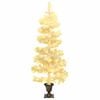 Product Thumbnail Image 2 of 10