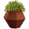 Product Thumbnail Image 3 of 13