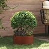 Product Thumbnail Image 2 of 13