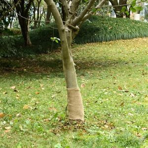 vidaXL Jute Roll 0,25x10 m 100% Jute 200 gsm