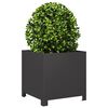 Product Thumbnail Image 4 of 12