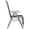 vidaXL Reclining Garden Chair Textilene and Aluminium Silver