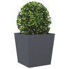 Product Thumbnail Image 4 of 12