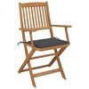 vidaXL Folding Garden Chairs 2 pcs with Cushions Solid Wood Acacia