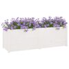 vidaXL Garden Planter White 150x50x50 cm Solid Pinewood