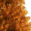 Product Thumbnail Image 4 of 6