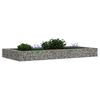vidaXL Gabion Raised Bed Galvanised Steel 200x100x20 cm