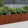 Product Thumbnail Image 2 of 12
