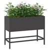 Product Thumbnail Image 3 of 12