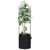 Product Thumbnail Image 2 of 10