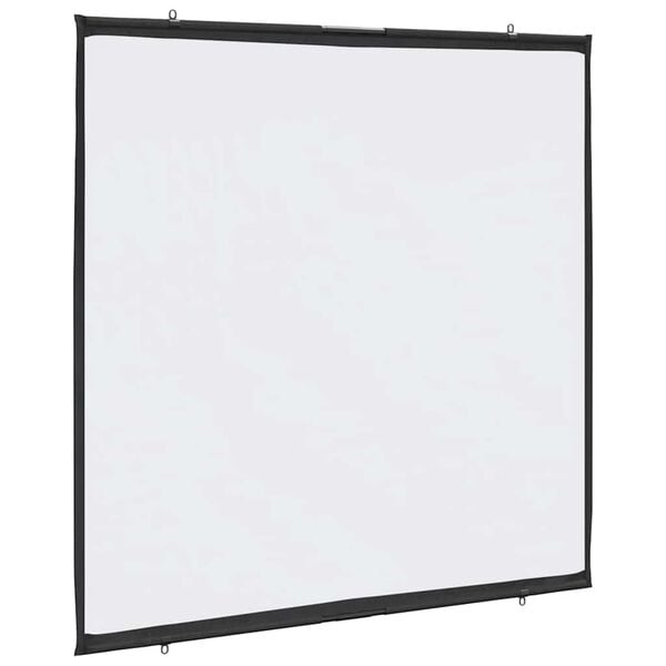 vidaXL Projection Screen Wall-Hanging 67 Inch 1:1