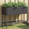 Product Thumbnail Image 2 of 11