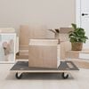 vidaXL Transport Trolleys 2 pcs Rectangular 80x55x11,5 cm 250 kg