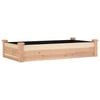 vidaXL Garden Raised Bed with Liner 120x60x25 cm Solid Wood Fir