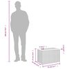 Product Thumbnail Image 10 of 11