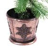 Product Thumbnail Image 6 of 9