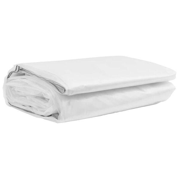 vidaXL Clear Tarpaulin with Eyelets 3x8 m Polyethylene