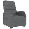 vidaXL Stand up Chair Anthracite Faux Leather