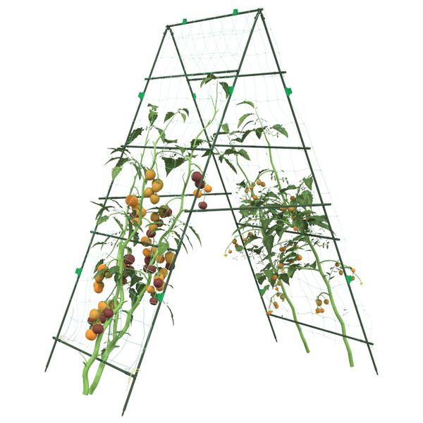 Showing Product Image 2 of 10
