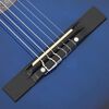 vidaXL 12 Piece Western Classical Guitar Set with 6 Strings Blue 38