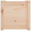 vidaXL Garden Planters 2 pcs 40x40x40 cm Solid Pinewood