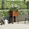 Product Thumbnail Image 3 of 10