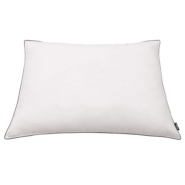 vidaXL Pillows 2 pcs Down/Feather Filling Light 70x60 cm White