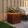 Product Thumbnail Image 3 of 16