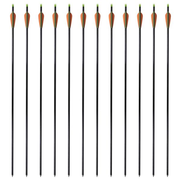 Standard Compound Bow Arrows 30" 0.8 cm Fiberglass 12 pcs