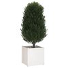 vidaXL Garden Planters 2 pcs White 60x60x60 cm Solid Pinewood